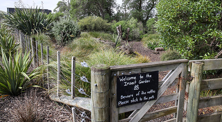 Ambury Farm Path - The insect garden.