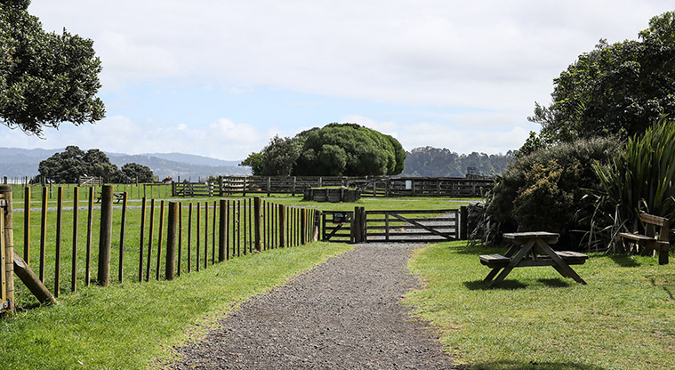 Ambury Farm Path - Typical section of the gravel path.