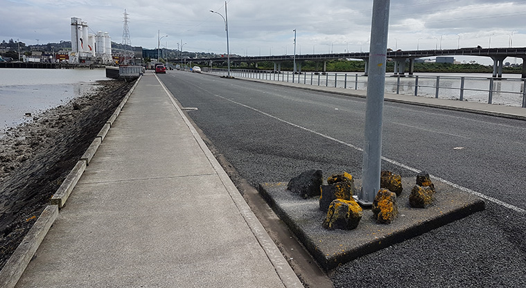 Ambury to Waikaraka Path - Old Mangere Bridge.