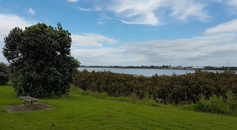Ambury to Waikaraka Path - Manukau Harbour viewed from Waikaraka.