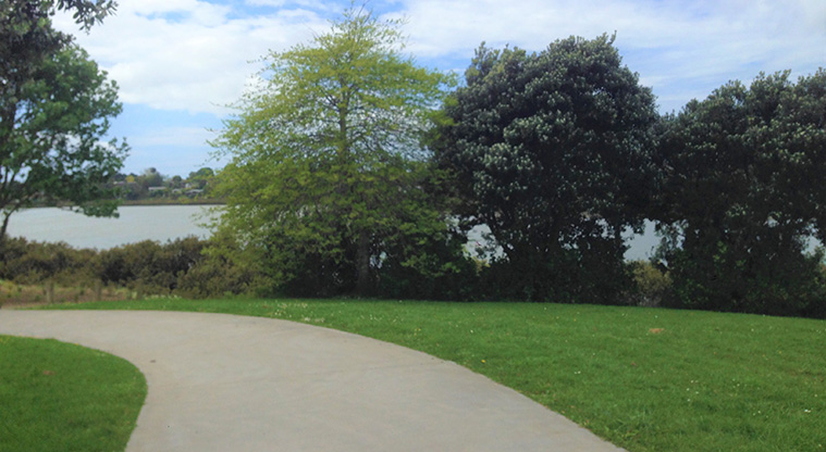 Archibald Park Path - A typical section of path.