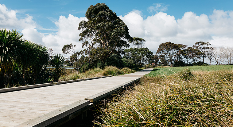 Archibald Park Path - A section of boardwalk.