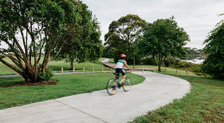 Archibald Park Path - A sealed section of the shared path.