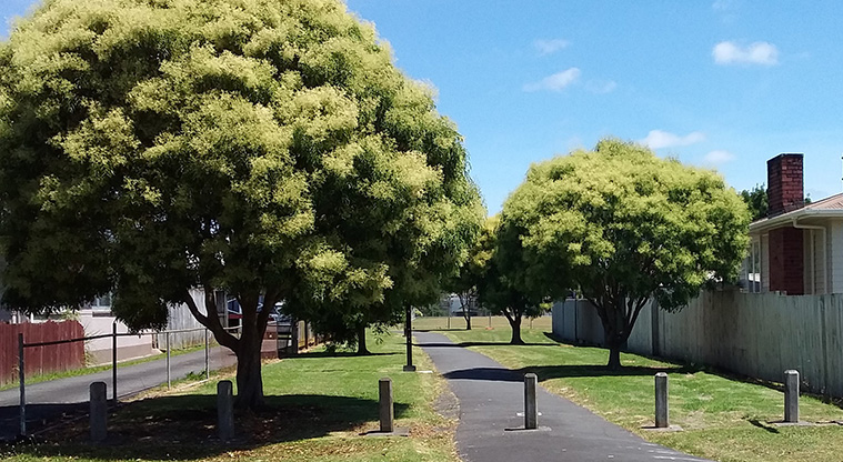 Archibald Park to Onewherowhero / Brains Park Path - Heading into Onewherowhero / Brains Park from Brains Road Entrance.