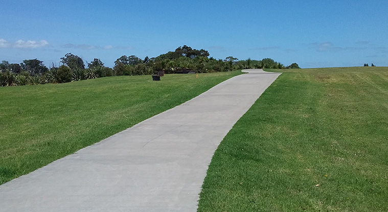 Archibald Park to Onewherowhero / Brains Park Path - Wide sealed section of path in Archibald Park.