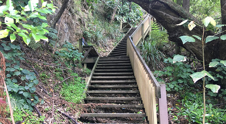 Arkles Bay Path - Optional steep bush track leading up to Whangaparāoa Road.