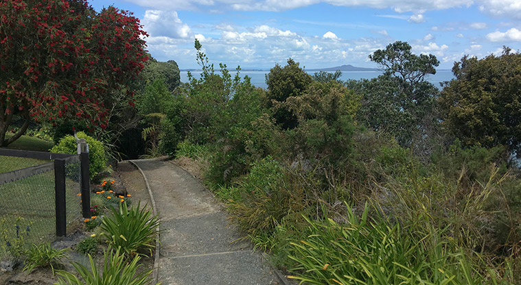 Arkles Bay Path - Views from optional bush track leading up to Whangaparāoa Road.
