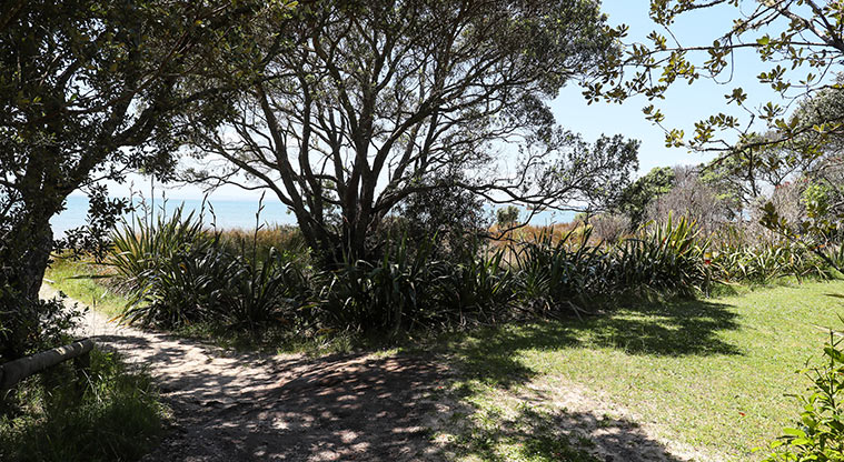 Āwhitu Brook Homestead Path - From the car park follow the red markers.