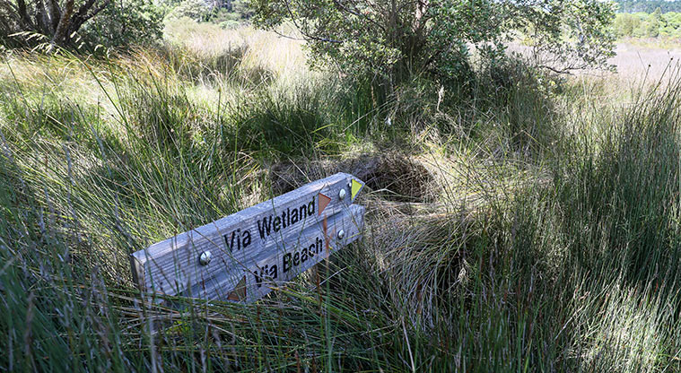 Āwhitu Brook Homestead Path - Follow the red markers on signs.