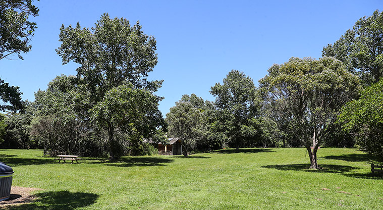 Āwhitu Brook Homestead Path - Open areas along the way with plenty of shade.