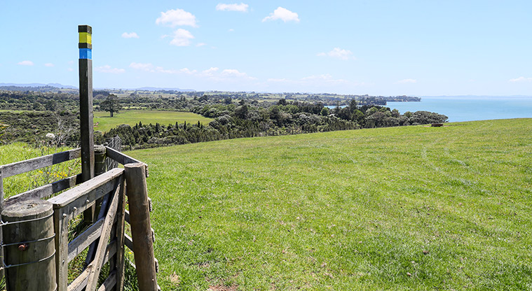 Āwhitu Hatton Road Path - Follow the blue track markers.