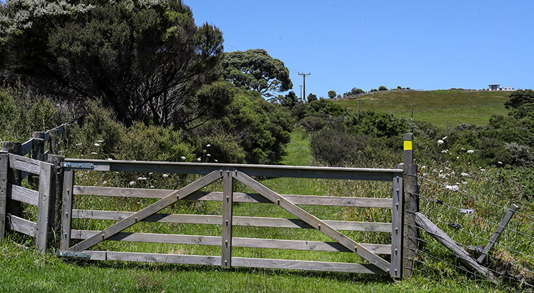 Āwhitu Hatton Road Path - Join up with the Settlers Track or head back on the route you came from.