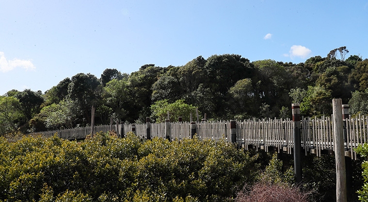 Beachlands to Maraetai Path - View of Te Puru Bridge.
