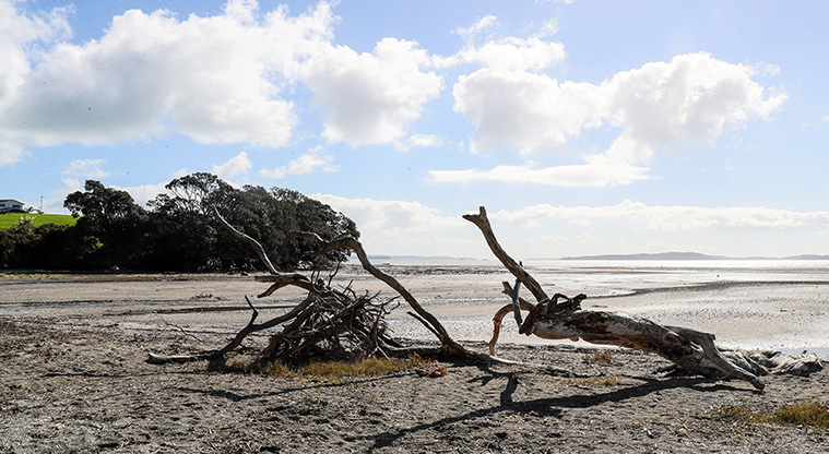 Beachlands to Maraetai Path - Stop at the beach along the way.