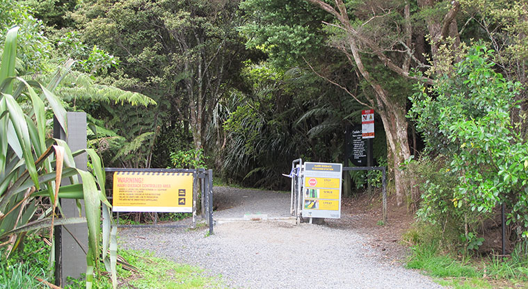 Beveridge to Arataki Track - Track starts at the end of the Exhibition Drive Track. Please follow instructions for kauri dieback.