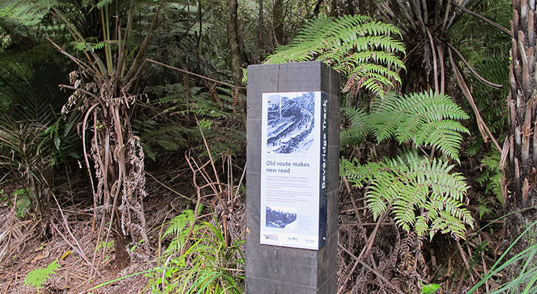 Beveridge to Arataki Track - History of Exhibition Drive.