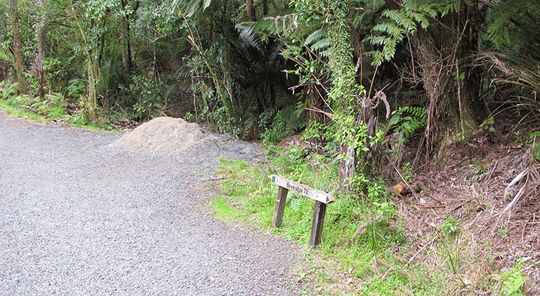 Beveridge to Arataki Track - Follow the Beveridge Track markers.