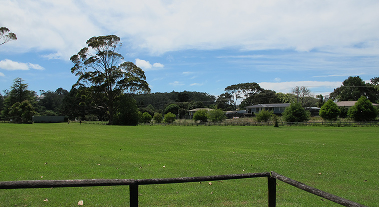 Birdwood Path - Open green space perfect for off leash dogs