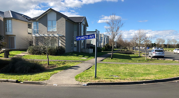 Bruce Pulman Path - Path start is adjacent to Puweto Street