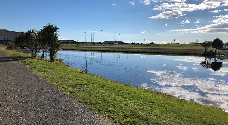 Bruce Pulman Path - Path alongside ponds