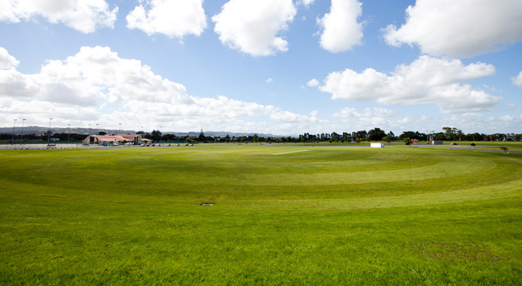 Bruce Pulman Path - Sports field
