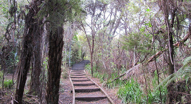Centennial Park Nature Path - A few steps up.