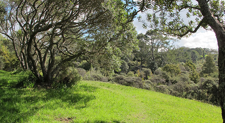 Centennial Park Path - Path runs through a short section of grass