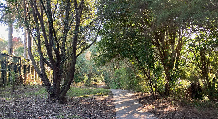 Clearwater Cove Path - Path through bush section.