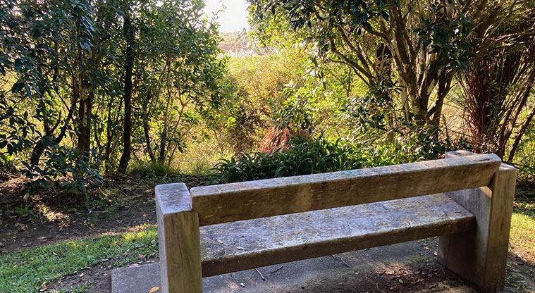 Clearwater Cove Path - Seating along the way.