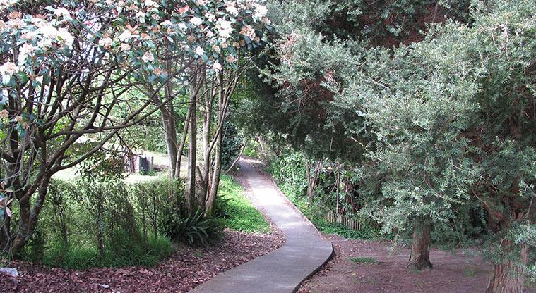 Clearwater Cove Path - Path leading to Hobsonville Marina.