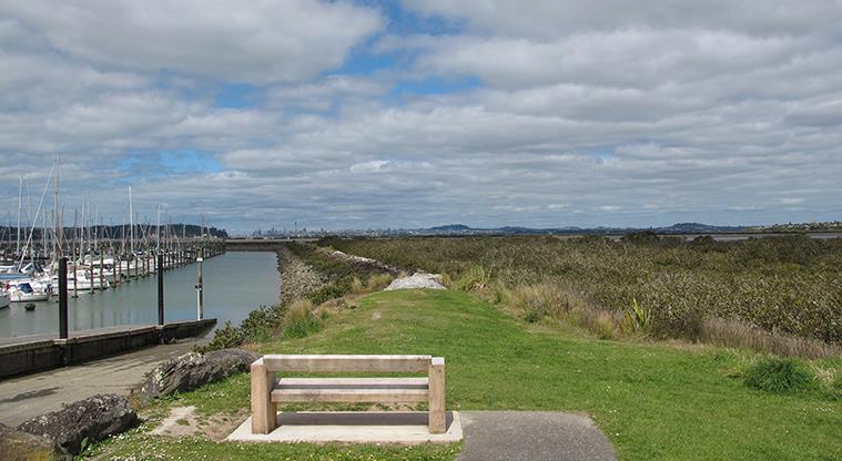Clearwater Cove Path - View from seating at end of path.