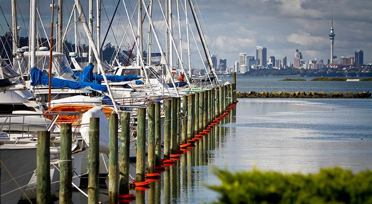Clearwater Cove Path - Hobsonville marina.