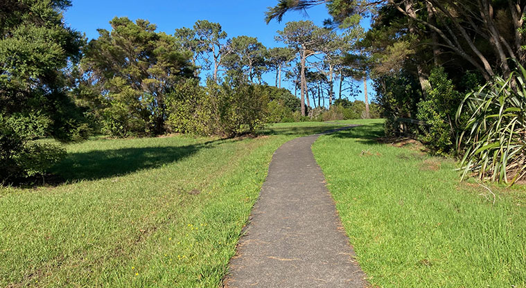 Clearwater Cove Path - Back at Luckens Reserve, keep right amongst the tree and make your way back to the car park.