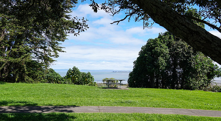 Clendon Path - Picnic area near end of Palmers Road