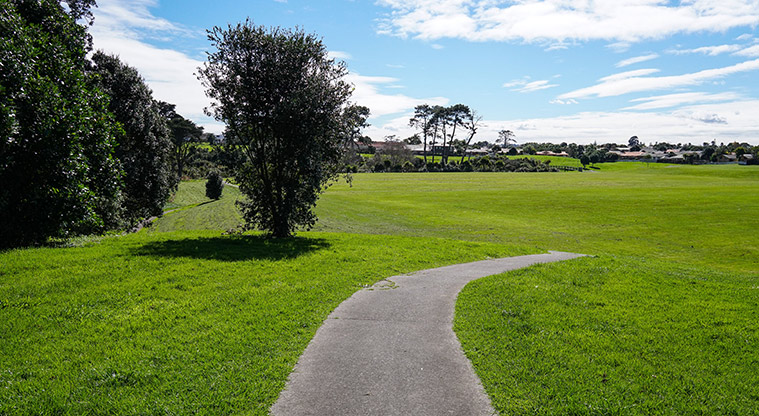 Clendon Path - Path running through green space