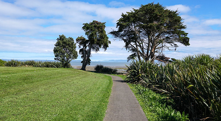 Clendon Path - Typical section of the path