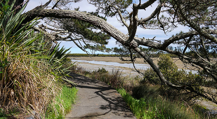 Clendon Path - Duck under the tree branches