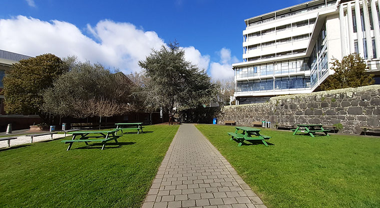 Coast to Coast Path (City to Pukekawa / Auckland Domain) – Walking in the University of Auckland campus between Alfred Nathan House and the Old Choral Hall.