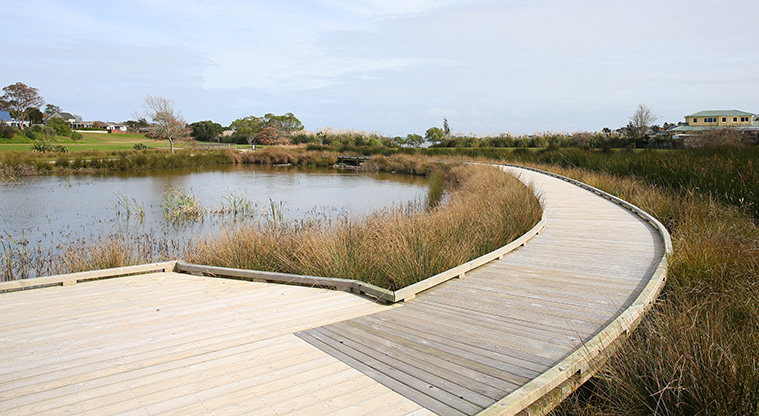 Conifer Grove Path - Boardwalk through wetland.