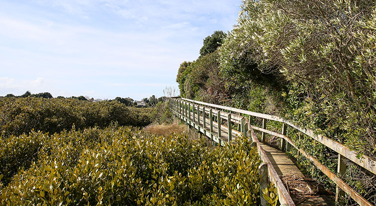 Conifer Grove Path - Boardwalk section of the path.