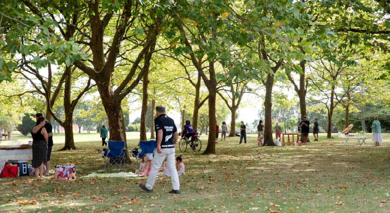 Cornwall Park Heritage Path – Cornwall Park has many options for picnics and gatherings.