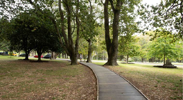 Cornwall Park Heritage Path – The wooden walkway protect the ground and roots of the trees.