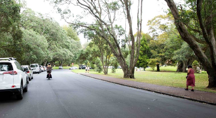 Cornwall Park Heritage Path – The path follows Michael Horton Drive.