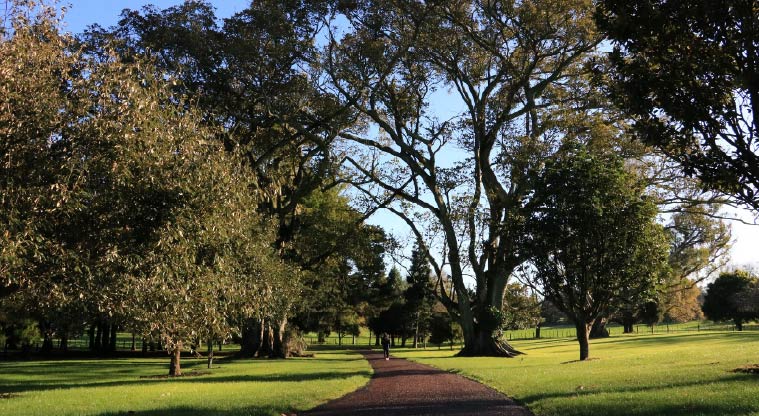 Cornwall Park Heritage Path – Typical section of the wide path.