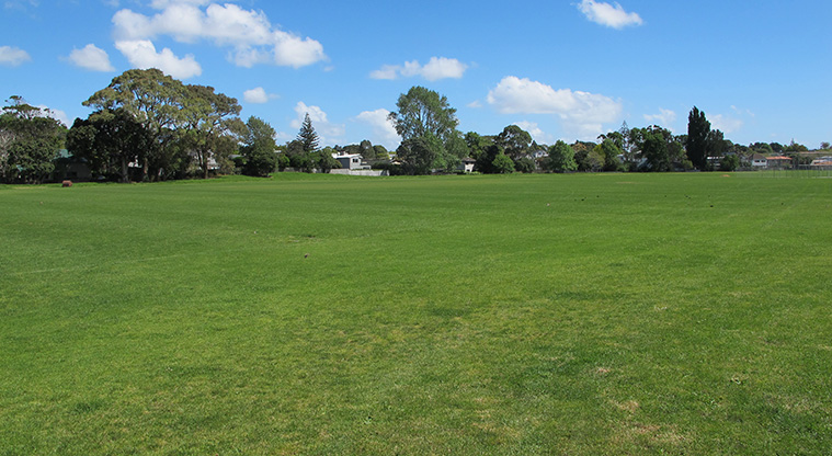 Crossfield Path - Sport fields at Crossfield Reserve.