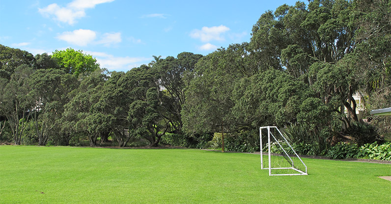 Devonport to Stanley Bay Path - Stanley Bay Park sports field