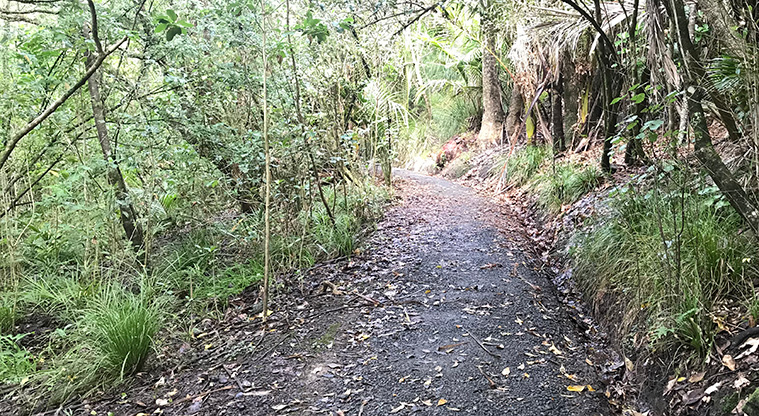Dingle Dell Path - Typical section of path.