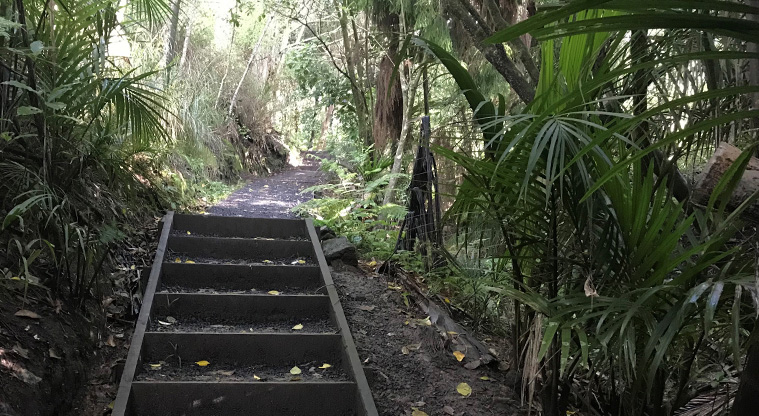 Dingle Dell Path - Timber and gravel stairs on the path.
