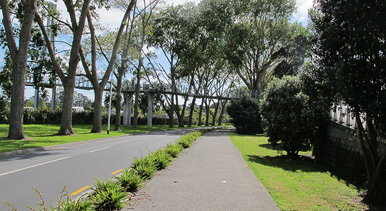 Dominion Road Loop Path - Shared path alongside Somerset Road.