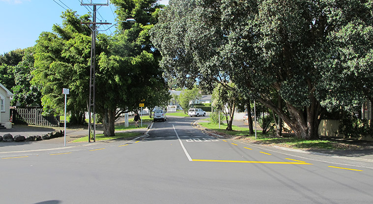 Dominion Road Loop Path - Marlborough Street.